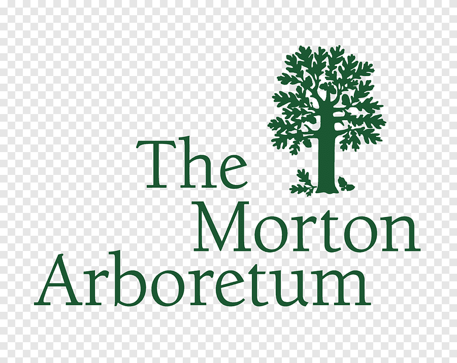 the morton arboretum lisle botanical garden logo